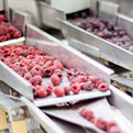 Food Processing & Manufacturing